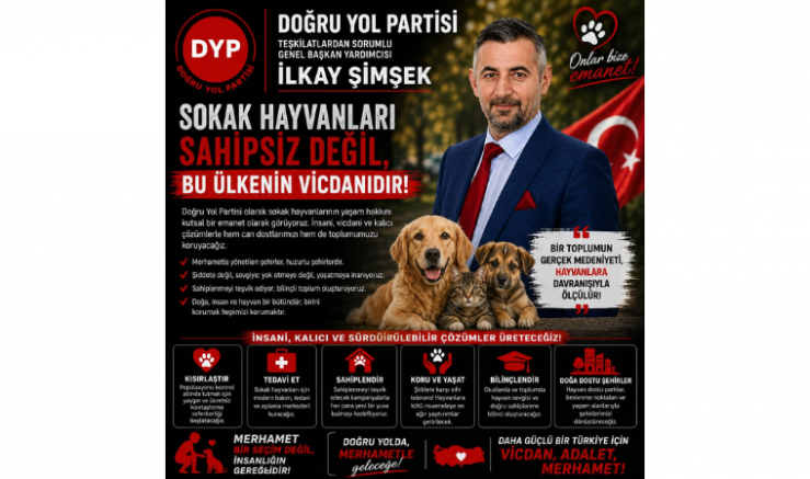 İlkay Şimşek: Sokak Hayvanları Sahipsiz Değil Bu Ülkenin Vicdanıdır - GÜNDEM - İnternetin Ajansı